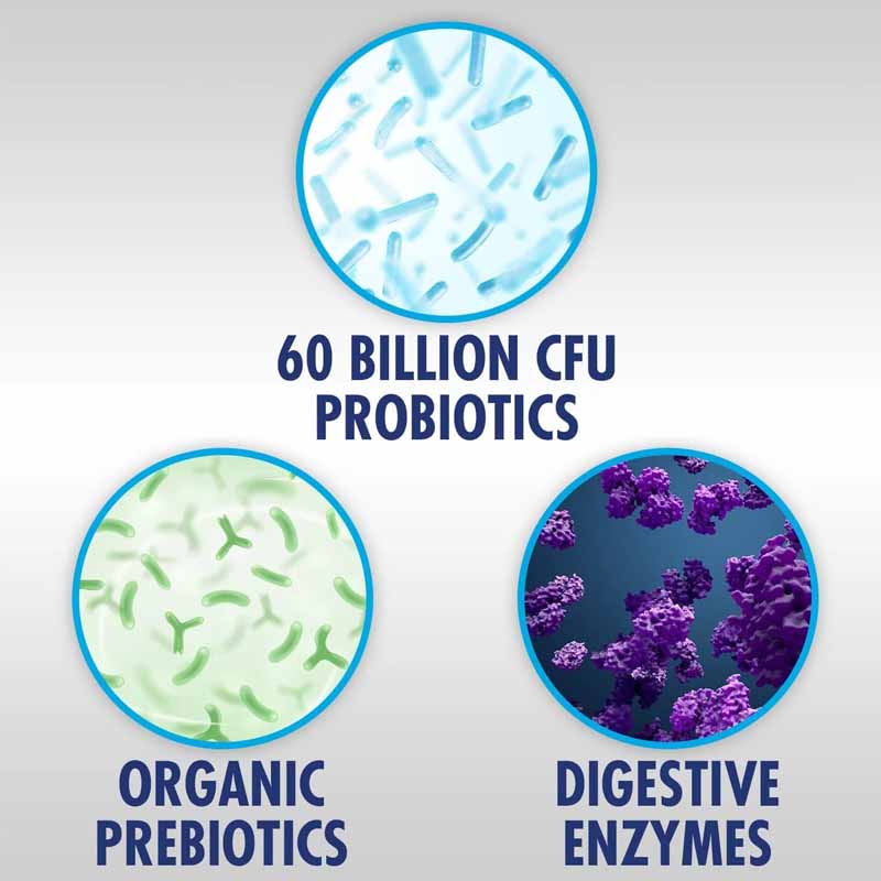 Bcuelov® Probiotic & Prebiotic Enhanced – Gut & Immune Support | 30 / 60 / 120 Capsules