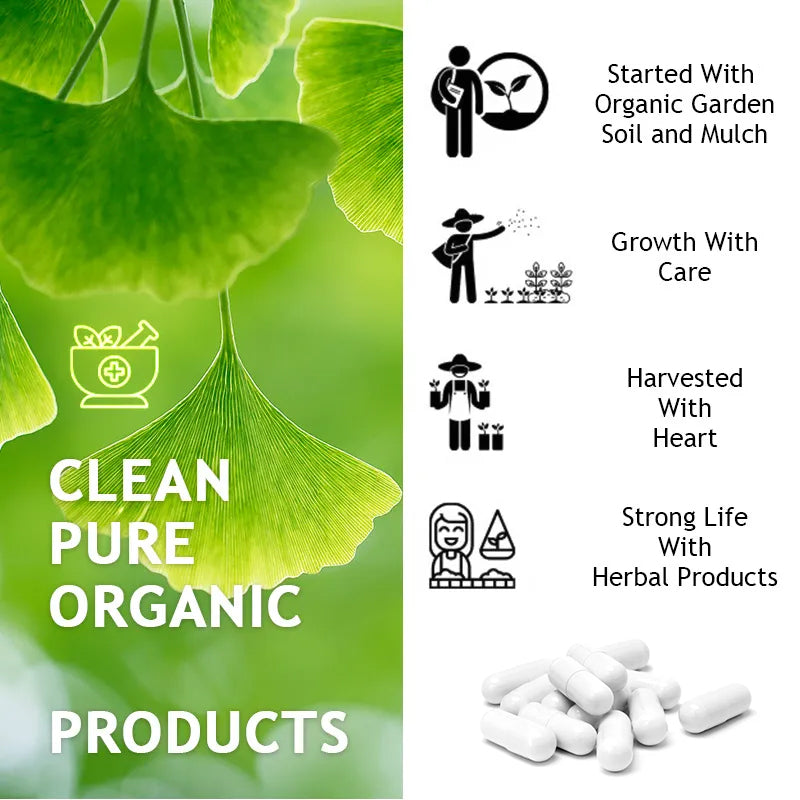 Bcuelov® Ginkgo Biloba 5000mg – Brain & Memory Support with B Vitamins | 30 / 60 / 120 Capsules