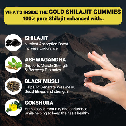 Bcuelov Himalayan Shilajit Gold Gummies with Ashwagandha & Black Musli – 60 Gummies
