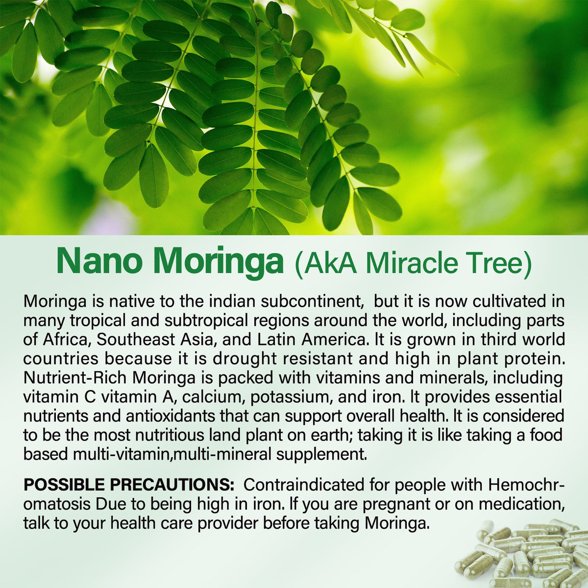 Bcuelov Moringa Capsules Natural Vitamins & Amino Acids for Energy Boost