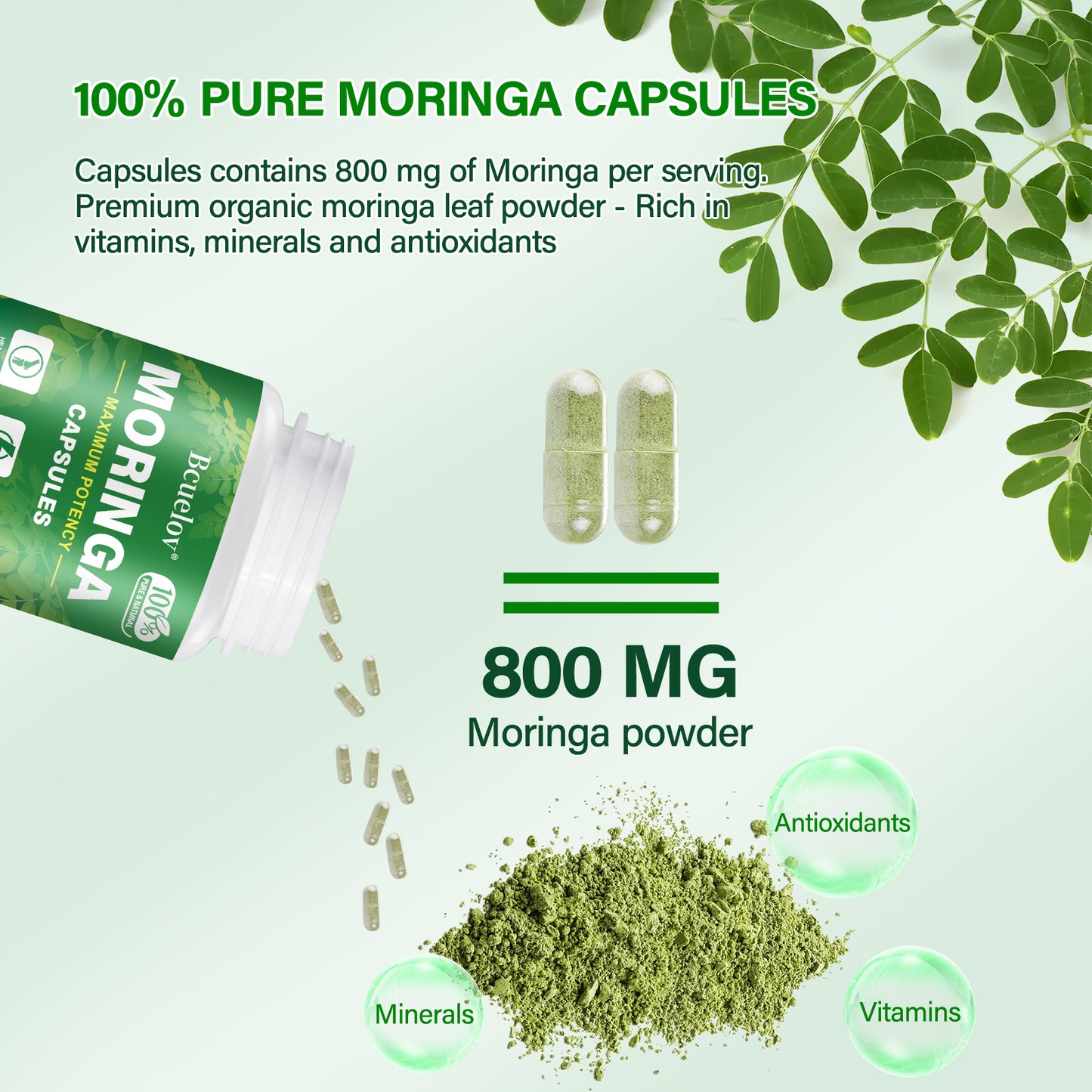 Bcuelov Moringa Capsules Natural Vitamins & Amino Acids for Energy Boost